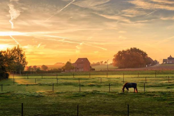 Monts Et Merveilles Godewaersvelde Zewnętrze zdjęcie